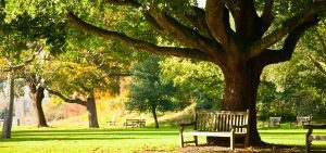 park • Kitsilano Community Centre located in Vancouver, British Columbia